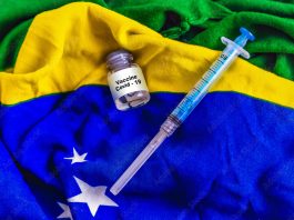 Brasil, Brazilian, Brazil, Vacina, covid-19, virus, syringe, vaccine, medicine, corona, vaccination, infection, china, viral, pandemic, epidemic, blood, research, test, analysis,