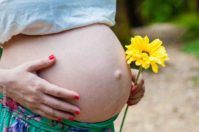 Mother holding yellow gerbera on her belly - pregnancy